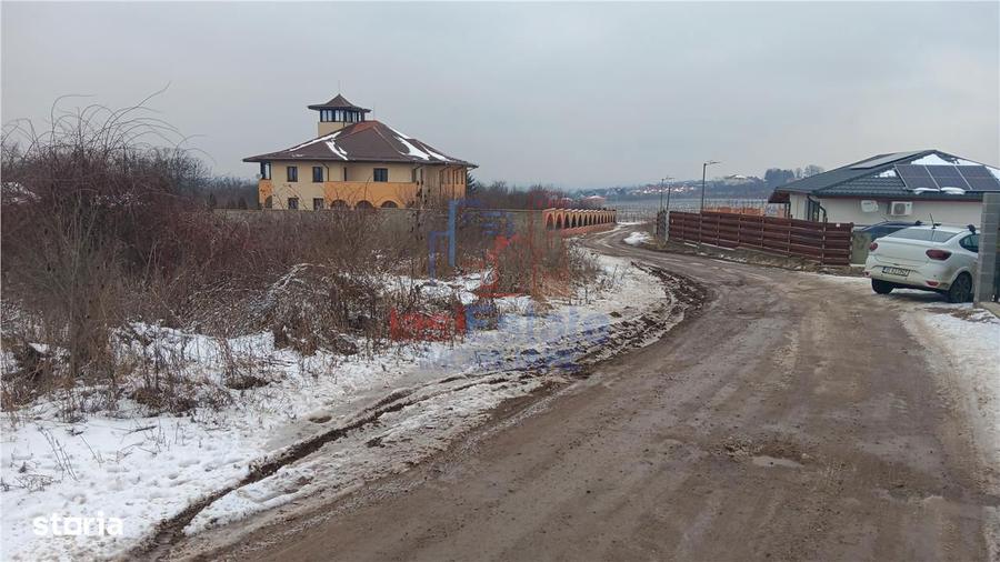 Visan str Dealul Craitelor TEREN 6383mp si 4217mp utilitati si trans - 6