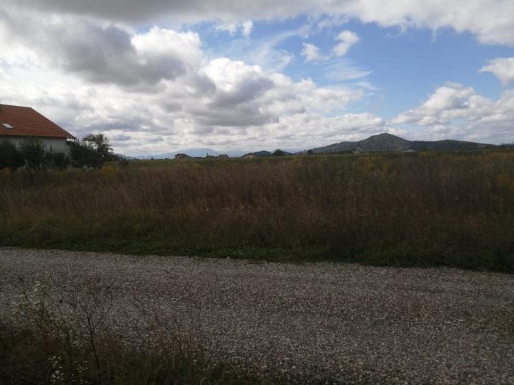 Teren de vanzare Harman - 4