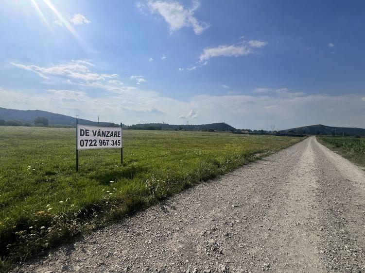 Teren 10.800 mp de vanzare - 6