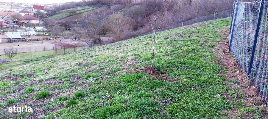 Super oferta - teren intravilan, 1500 mp, cu posibilitate de parcelare - 2