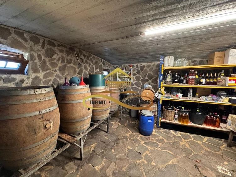 Casa si terasa de vanzare in Magura Bacau - 16