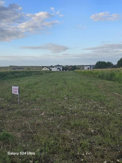 Teren de vanzare - Dancu - Holboca - 1