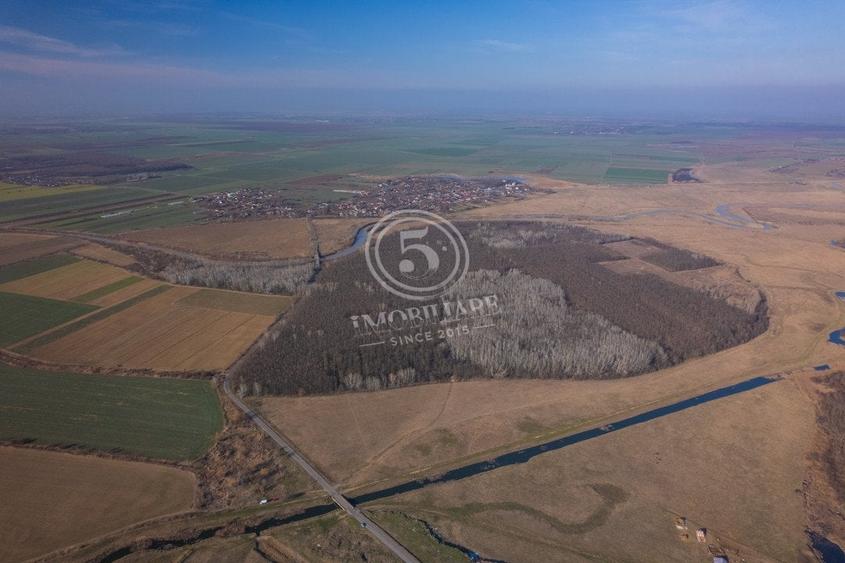 Pădure de vânzare - Pădurea lui Bolete, Fierbinți-Târg - 7