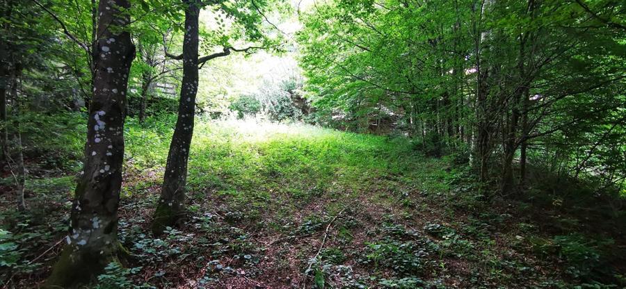 Teren Valiug 900-2400 mp acces auto utilita?i negociabil - 17