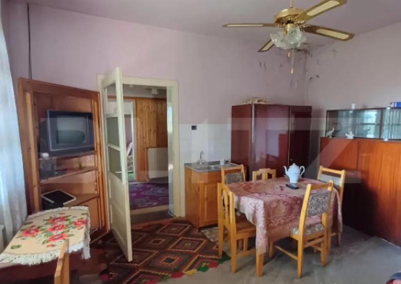 Casa renovabila cu 11508 mp teren, in Copaceni - 2