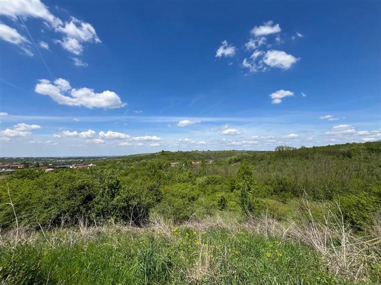 Lugoj, Investiție excelentă:  8.200 Mp., Front 200 ML., Ideal Parcelar - 9