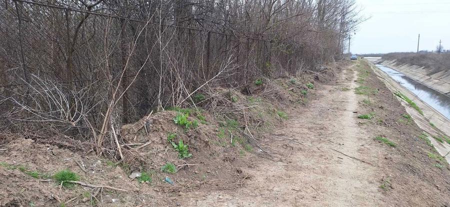 Teren 6662mp + Cladire 362mp A2 - 4