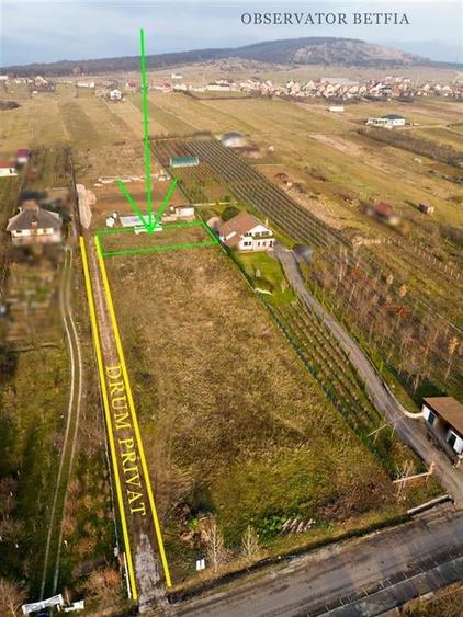 RECO Teren intravilan  langa padure-  PUZ    aprobat -Betfia, aproape de Baile F - 4