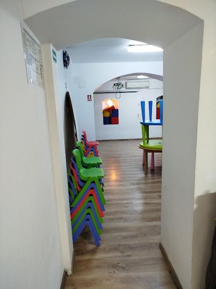 Spatiu mare si parcare vila unica cu prestanta in locatie eleganta Pache Mosilor - 16