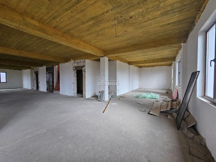 Oportunitate de business – DN72A Gheboieni - 5