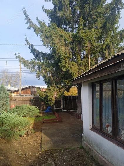 Casa locuibila situata in Giurgiu, Strada Pastorului Nr. 37. - 1