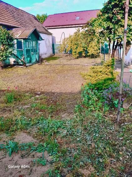 casa de vanzare Media? - 2