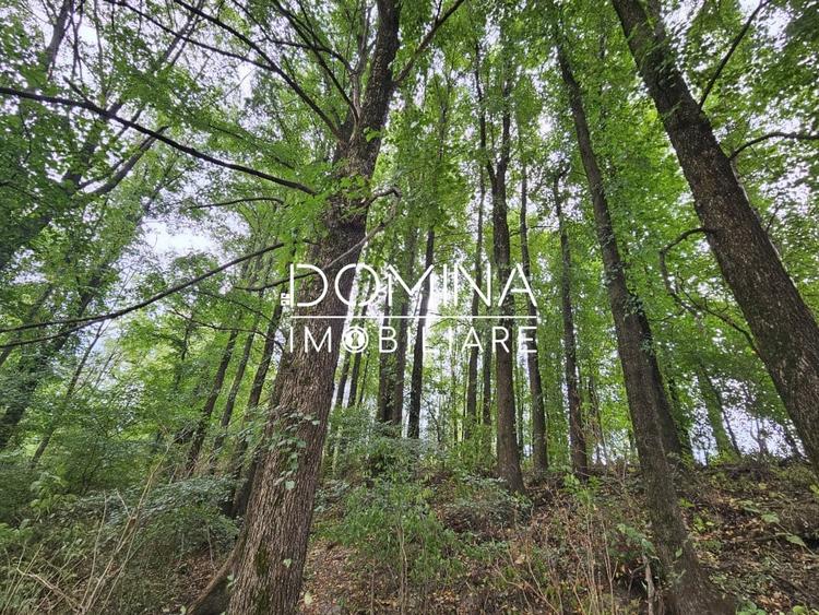 Vanzare teren intravilan suprafata 5.822 mp,  in Tg. Jiu - cartier Iezureni - 9