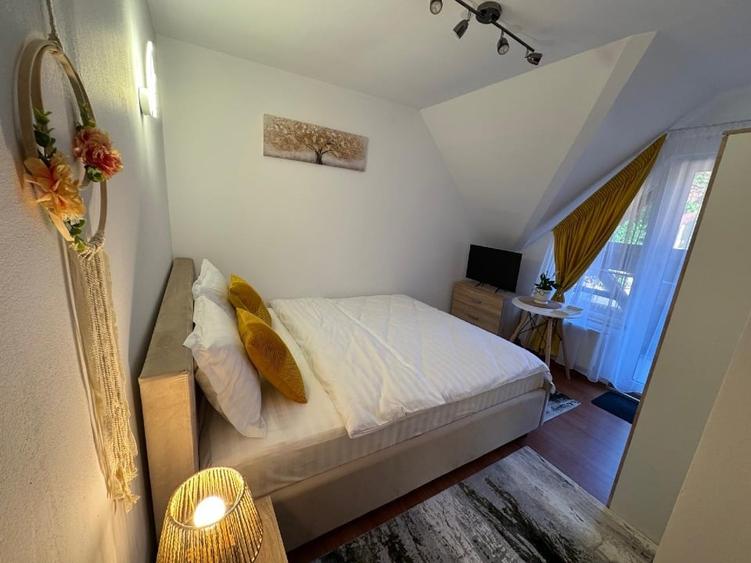 Vand Vilă turistică 3★  Brasov –Zona Dâmbu Morii - Business  sau locuinta - 11