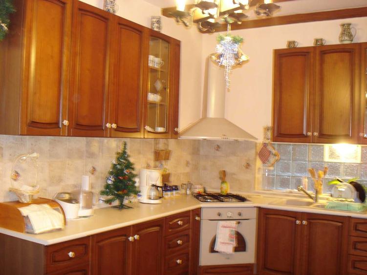 Vand Casa Deosebita cu Gradina Matura si Intimitate Totala (25 km de Timisoara) - 5