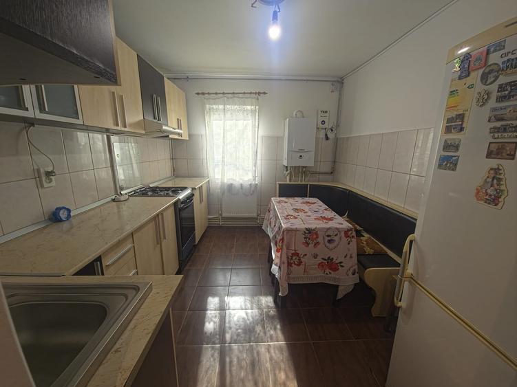 Poarta 6 apartament 2 camere parter centrala gaze - 10