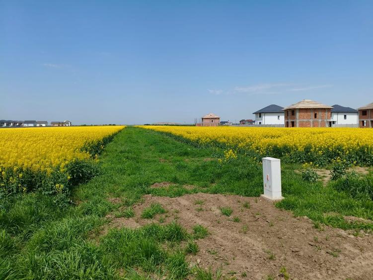 Teren 469 mp, Utilitati la Lot, Sistem de Rate - Avans 30% - 4