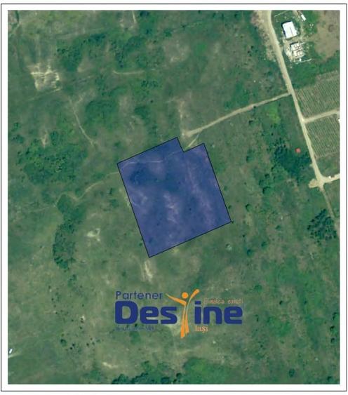 Copou - Viticultori 3 parcele teren intravilan 1417 mp + PUZ - 3