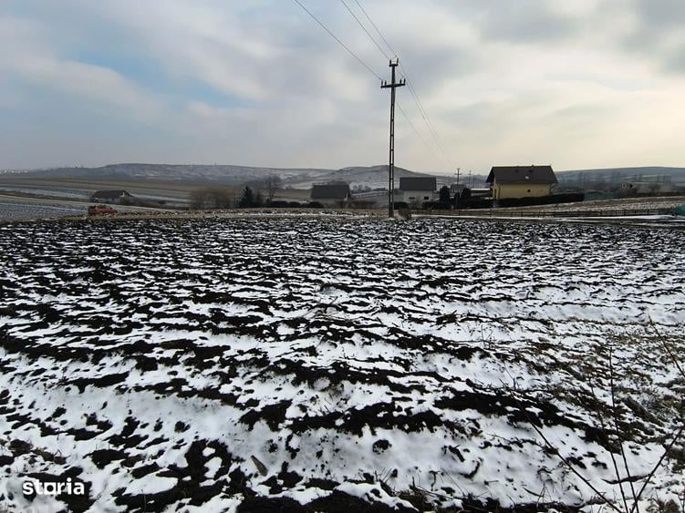 Teren 991 MP | Moara Nica | 22 ml Deschidere | Utilitati | 38.000 - 7