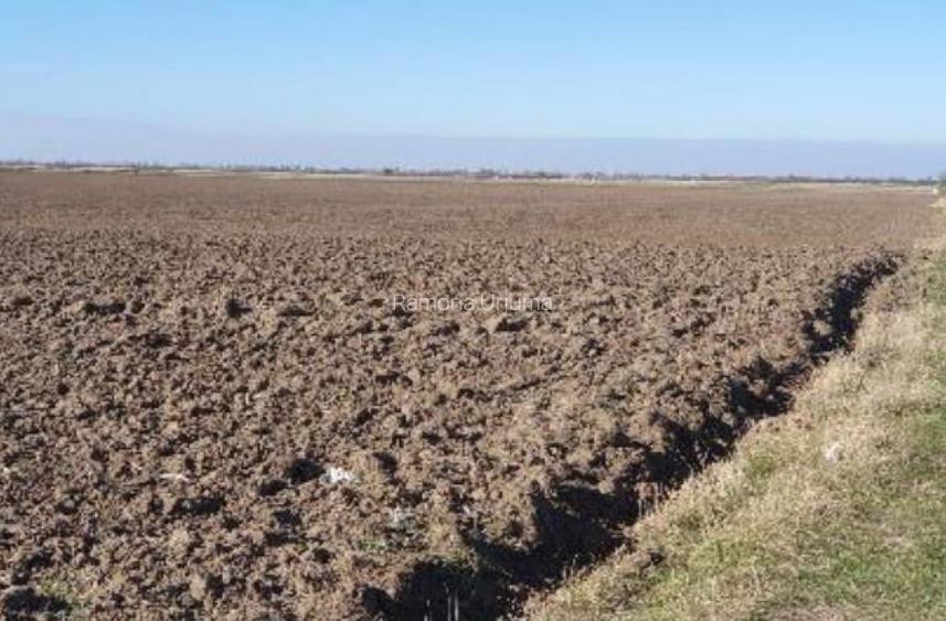 Teren extravilan- Com. Siria, jud. Arad