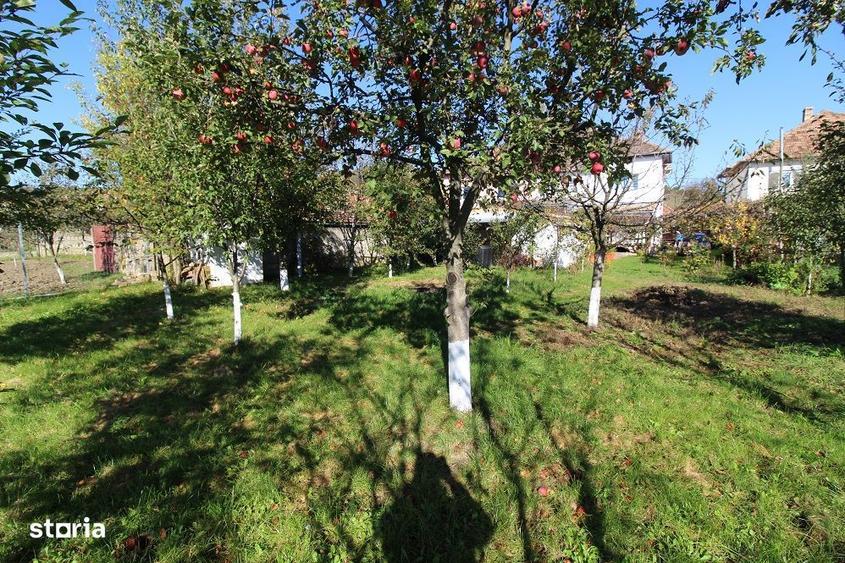 Vand casa P+E+Pod in Hateg, teren 700 mp, garaj, filigorie... - 11