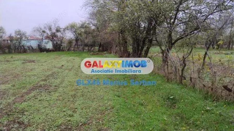 Vanzare teren intravilan Petresti - 6