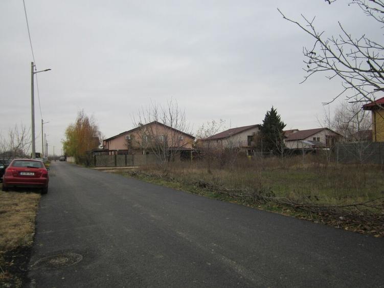 Drumul Targului-Stelelor - 5