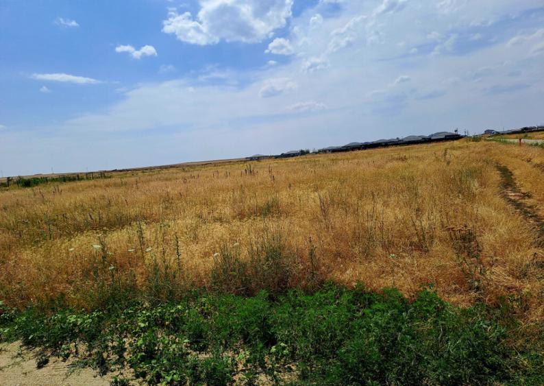 Teren intravilan Carcea , 415 mp , cu front stradal 14,78 m - 1