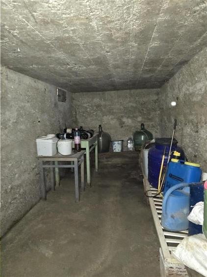 CASA 3 CAMERE + LIVING | 1790 MP TEREN | SAT RAPA | BIHOR - 32