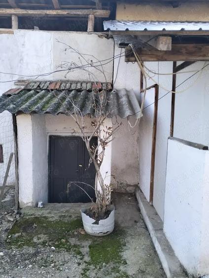 Casa de vanzare Vanju Mare - 7