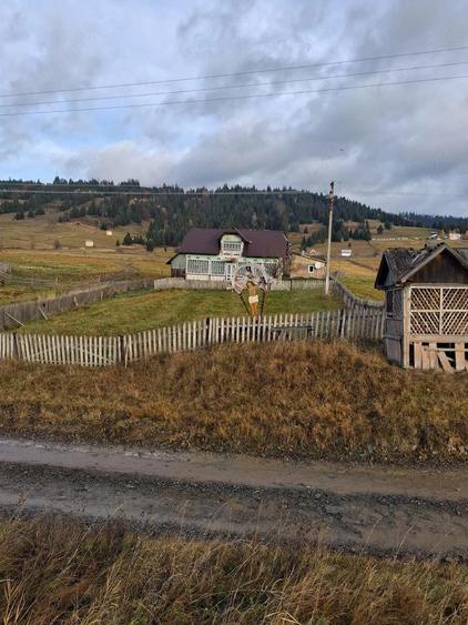 Casa lemn masiv acoperita recent + 5 anexe + teren peste 15000 mp la 46000 Euro negociabil - 7