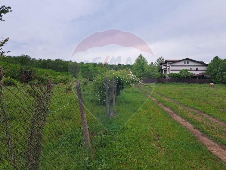 Teren Silistea Snagovului 500 mp apropiere padure - 3