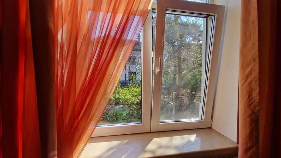 Cotroceni, Gradina Botanica, UMF Carol Davila - 2