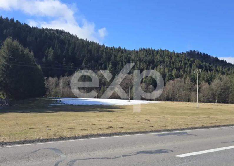 Teren extravilan 19.200 mp DN1A Sacele, Bradet | Front - 7