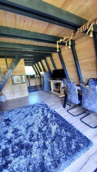 Teren 34,5 ari + cabana A-frame Colibita – ideal pentru resort, spa sau pensiune - 8