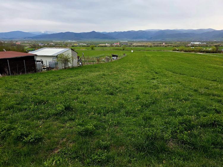 Teren Extravilan de Vanzare in Cristian, Sibiu - 1