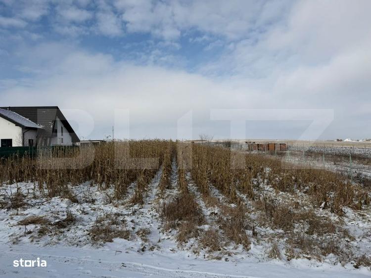Teren extravilan, 33.6 ari, zona Frumoasa - Scheia. - 6