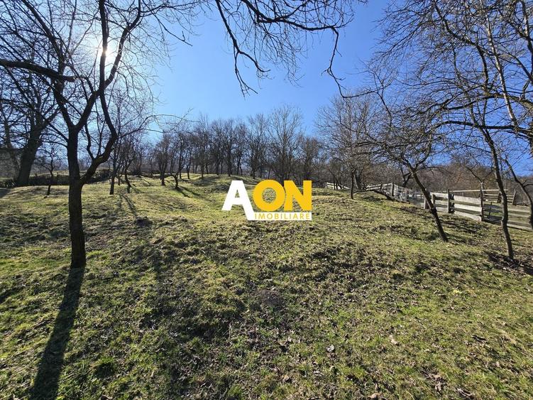 Casa de Vacanta 2 Camere, Strada Morilor Zlatna - 15