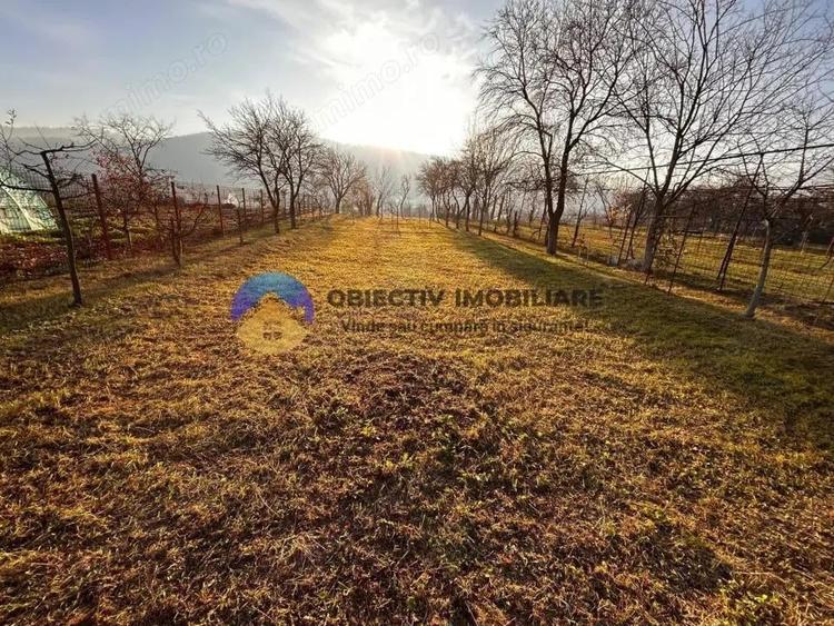 Teren de Vanzare 1172 mp Dumbrava Ro?ie, Neam? - 4