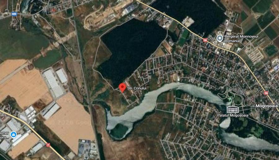 Teren de vanzare in Mogosoaia – Strada Crinului, langa lac | Lot ideal pentru ca - 2