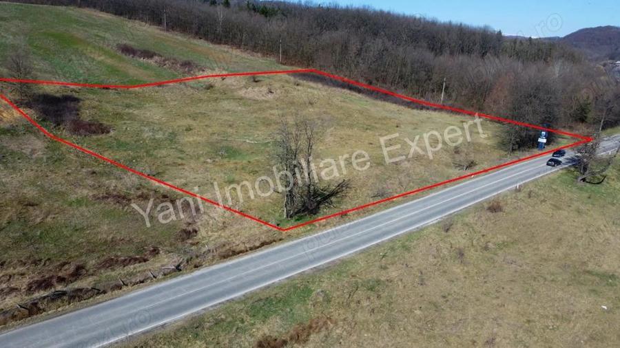 Teren 10.000 mp de vanzare in comuna Valea Ia?ului, jude? Arge?. - 7