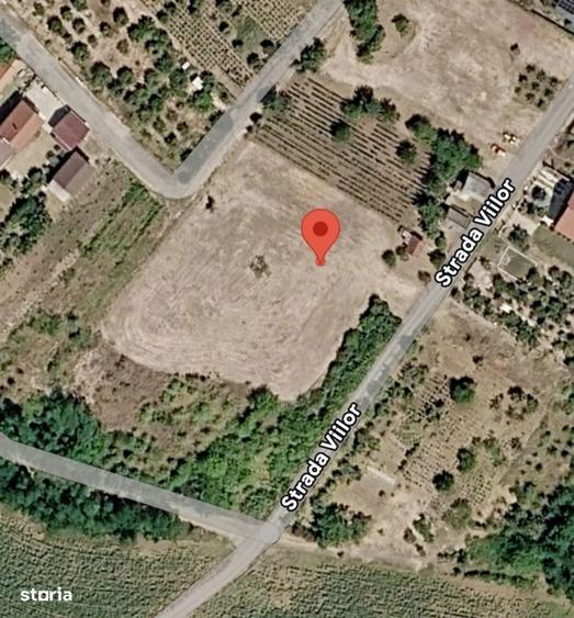 Teren cu pomi fructiferi , vie si loc de casa - 3
