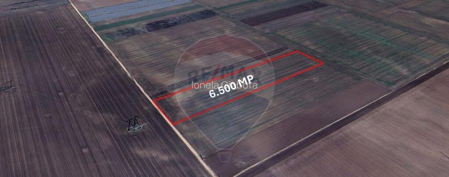 Teren extravilan de vanzare 6.500 mp, Harman, Bra?ov