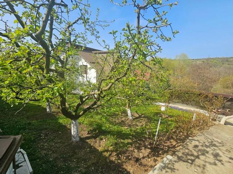 VILĂ ELEGANTĂ CU PRIVELIȘTE DEOSEBITĂ – VALENII DE MUNTE - 3