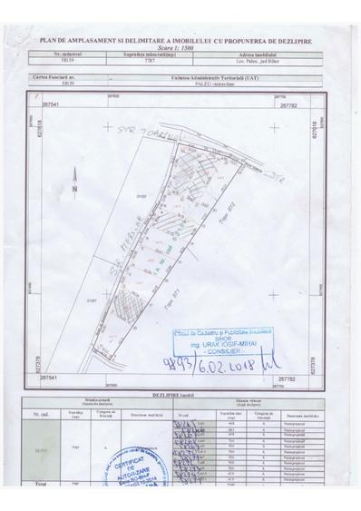 Terenuri de Vanzare in Paleu cu PUZ Aprobat (Str. Toamnei) + Certificat de Urbanism - 1