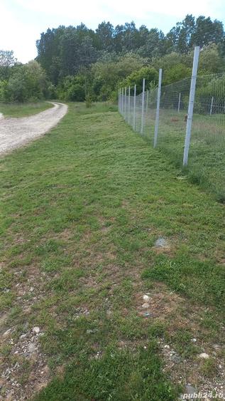 Inchiriez teren extravilan Comuna Turcine?ti, Aleea Poligonului - 1