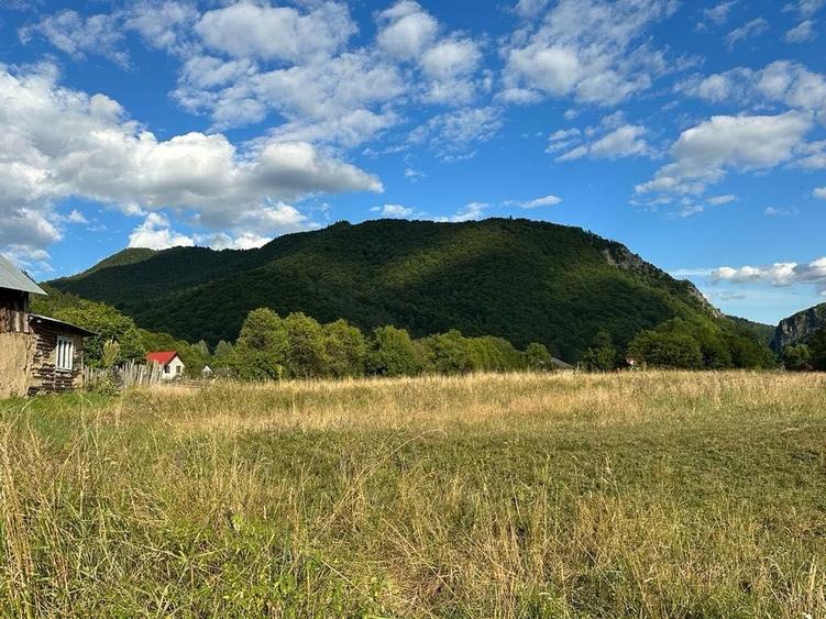 Teren intravilan Lepsa - 8