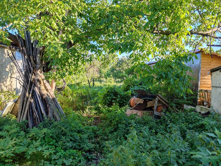 Casa 4 camere libera la vanzare GHIMBAV - 21