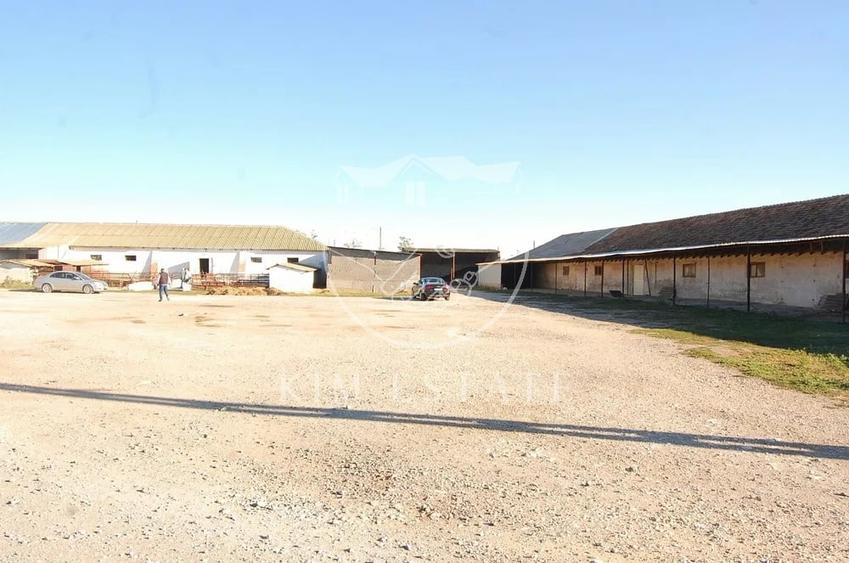 De vanzare ferma N.Balcescu - 6