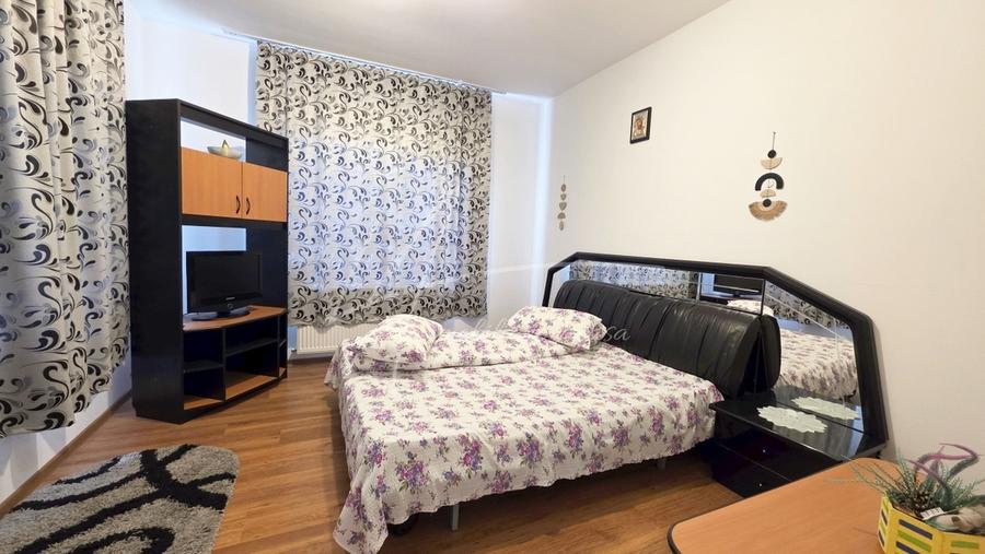 Arges Vila- Casa de vacanta Potential turistic 8 camere Rucar - 3